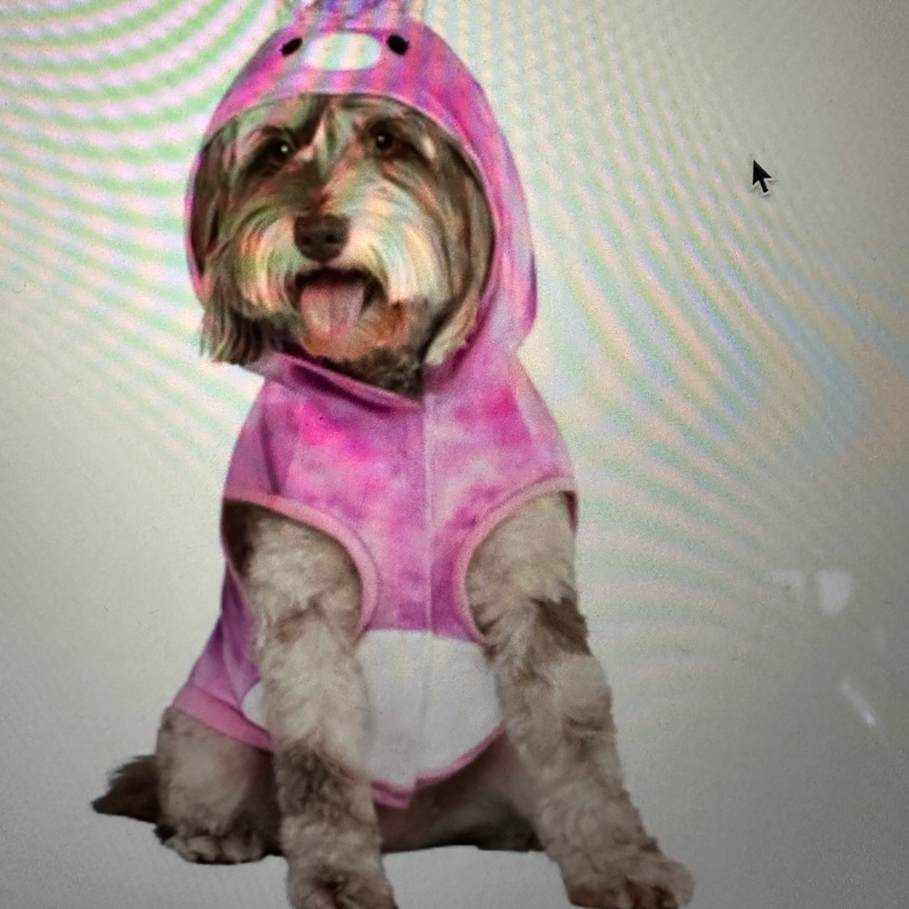 New squishmallow Pink Dog Hoodie costume Lola unicorn